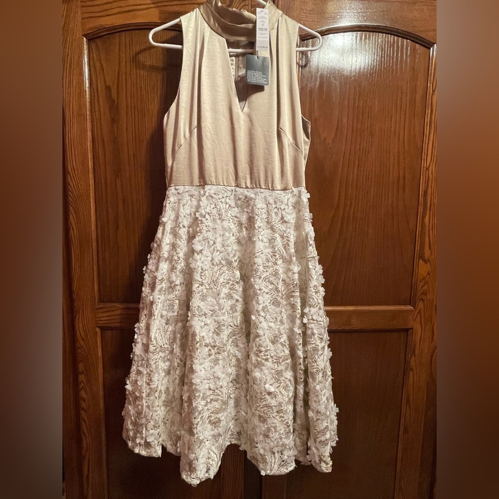 White House Black Market Fit & Flare Floral Lace Applique Dress, 8 MSRP $300.00